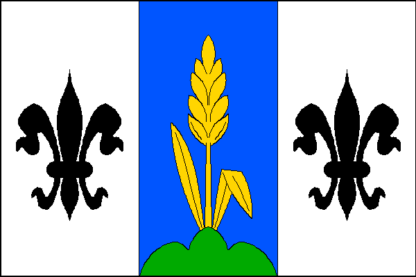 city flag