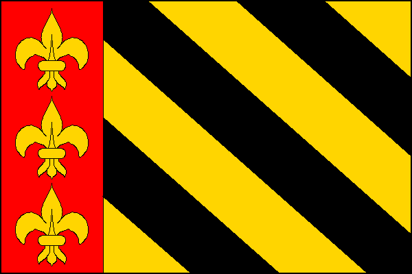 city flag