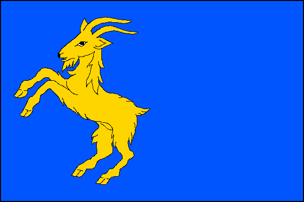 city flag