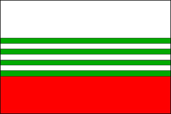 city flag