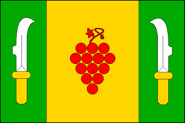 city flag