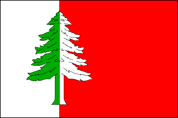 city flag