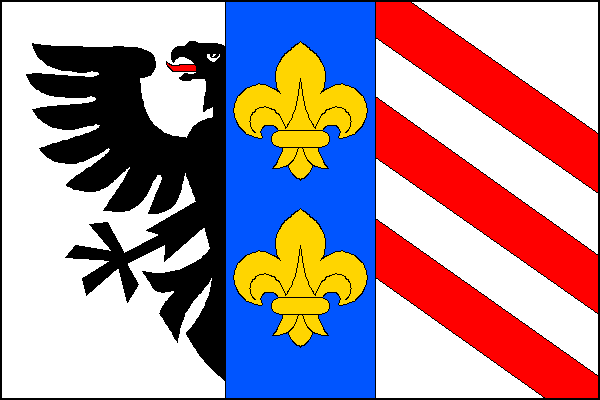 city flag