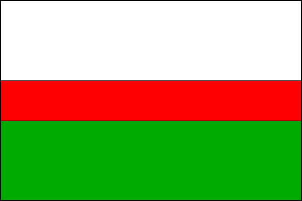 city flag