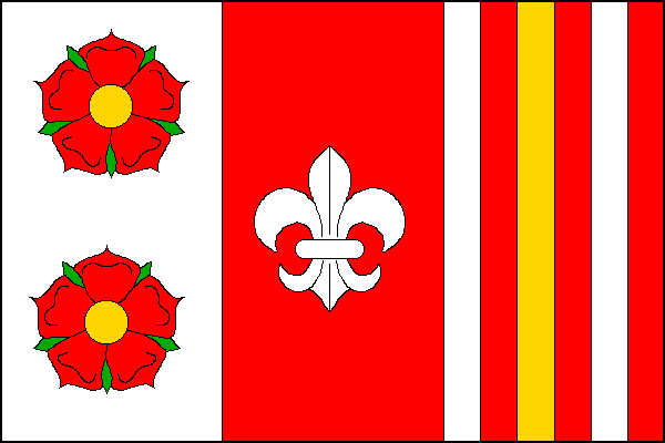 city flag