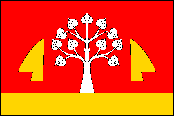 city flag