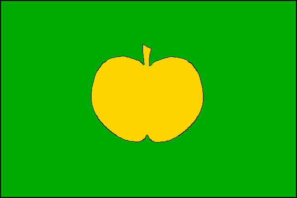 city flag