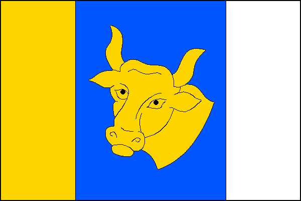 city flag