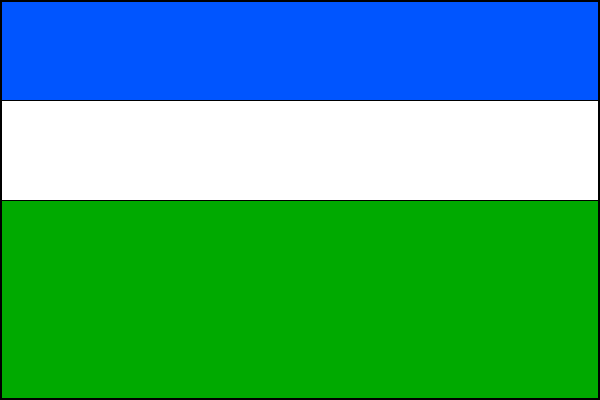 city flag