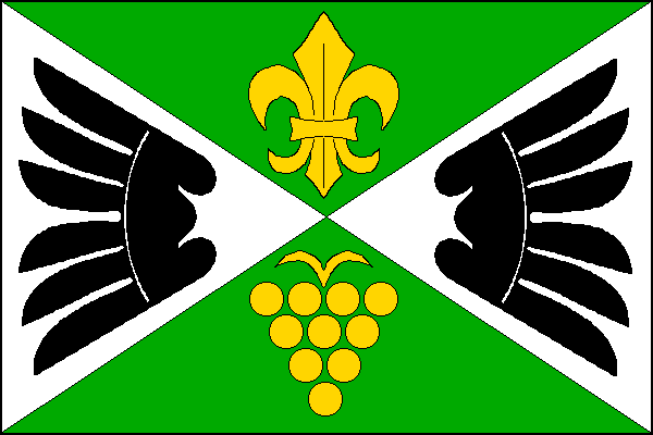 city flag