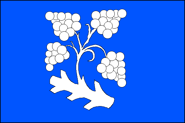 city flag