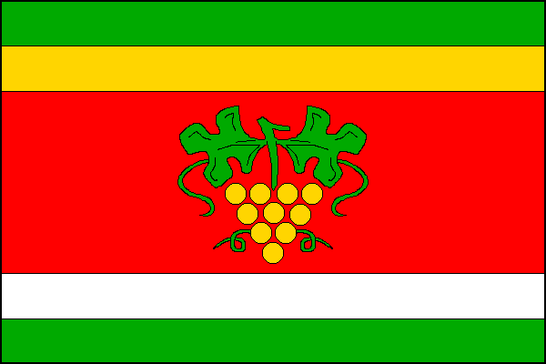 city flag