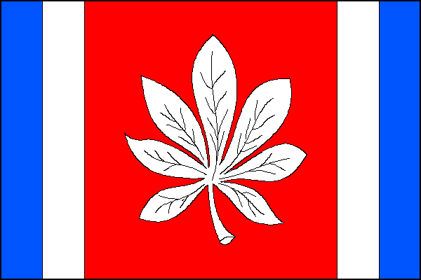 city flag