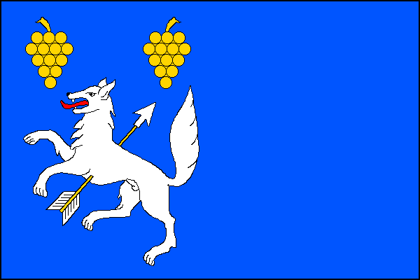 city flag