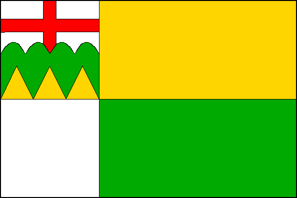 city flag