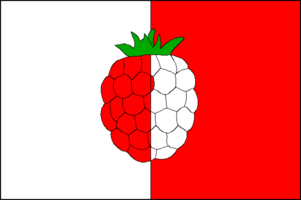 city flag