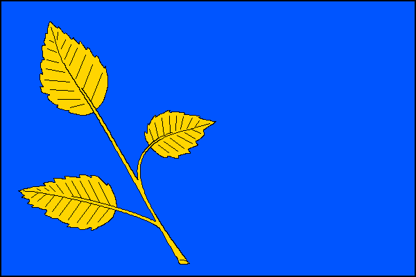 city flag