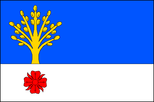 city flag