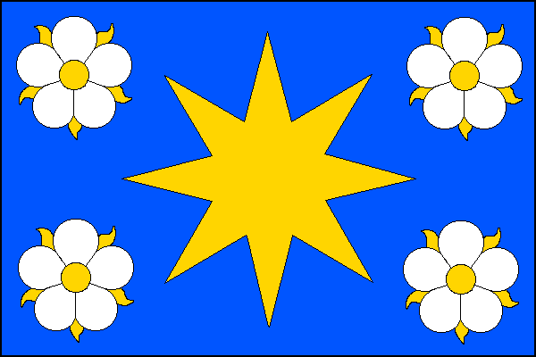 city flag