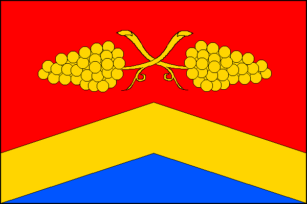 city flag