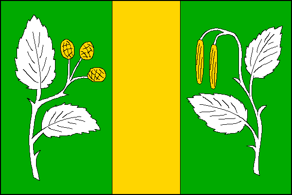 city flag