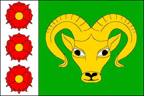 city flag