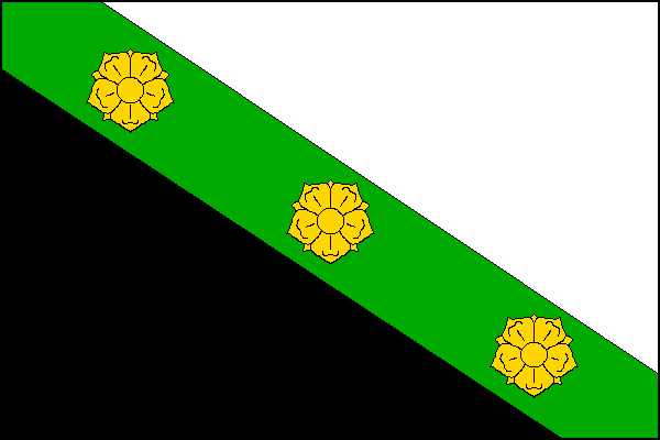 city flag