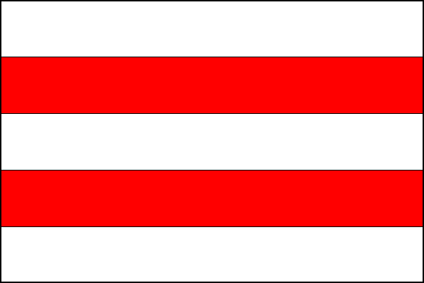 city flag