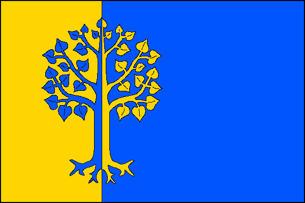 city flag