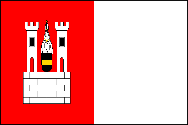 city flag