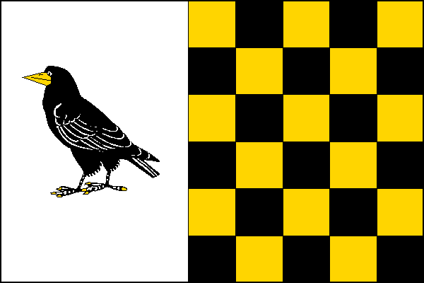 city flag