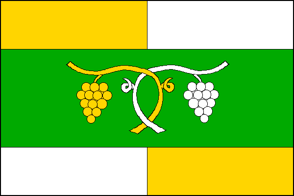 city flag