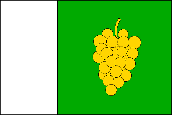 city flag