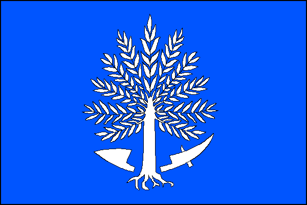 city flag