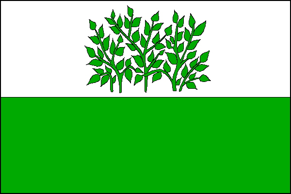 city flag