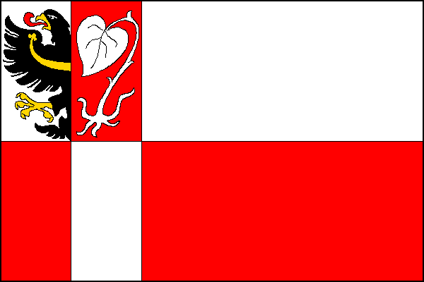 city flag