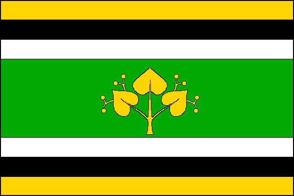 city flag