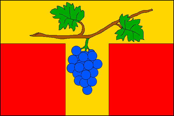 city flag