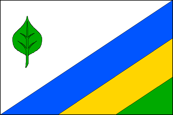 city flag