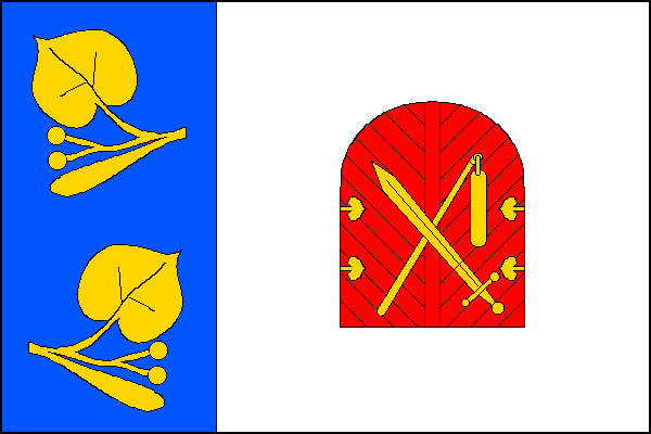 city flag