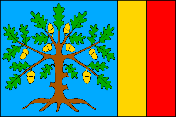 city flag