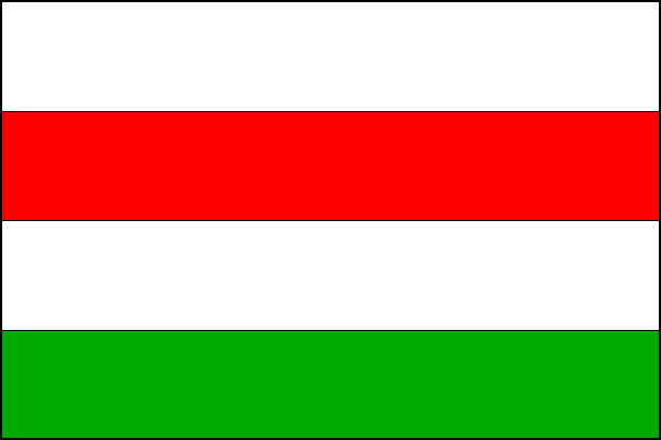 city flag