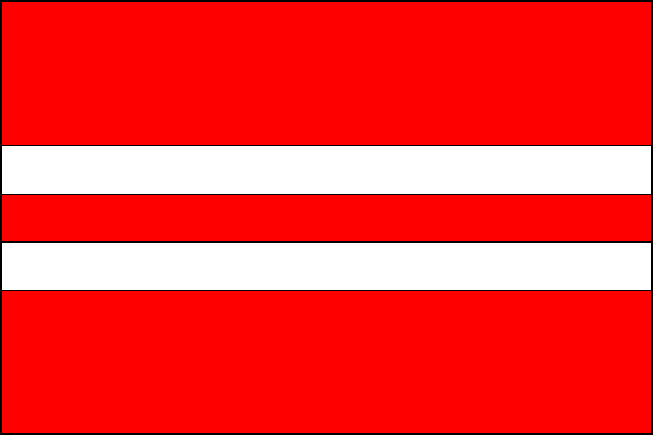 city flag