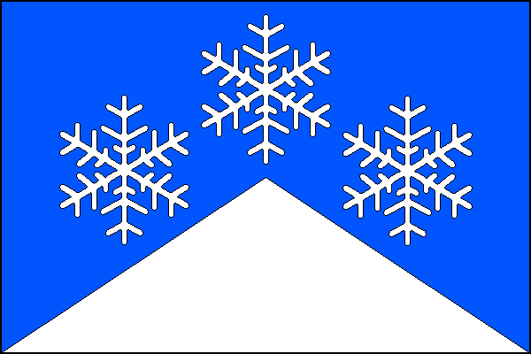 city flag