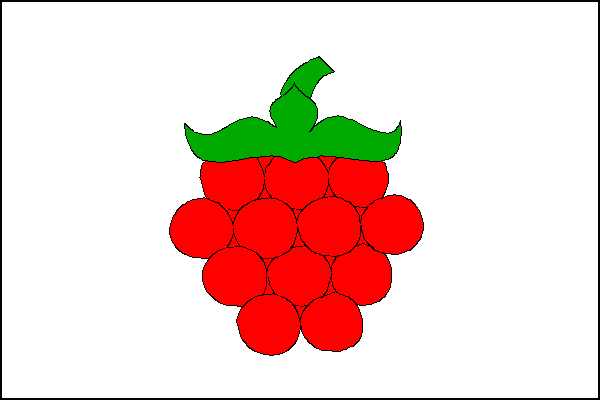 city flag