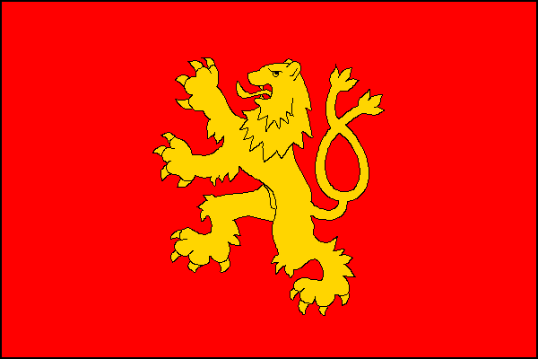 city flag