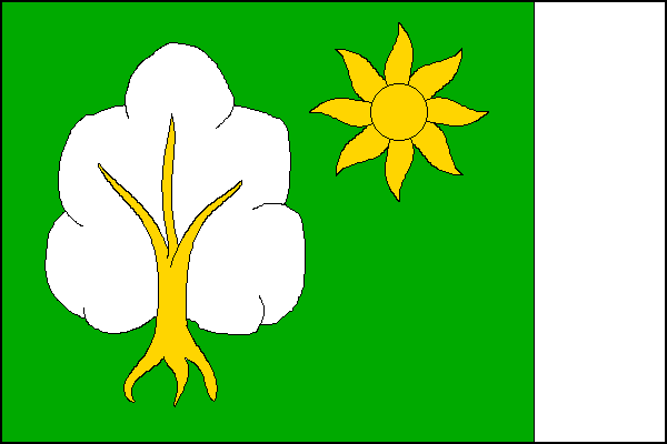 city flag