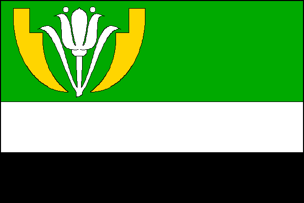 city flag