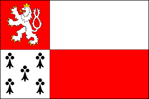 city flag