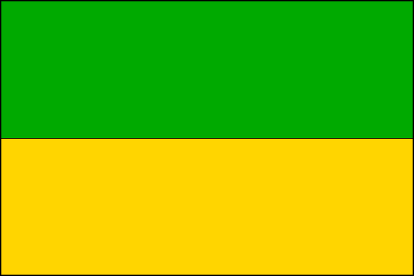 city flag